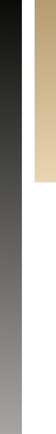 Vertical image with three sections: a black-to-gray gradient bar on the left, a wide white stripe in the center, and a tan-to-light beige gradient rectangle in the upper right corner.
