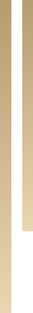 Vertical rectangular graphic with a white stripe in the center, bordered by a gradient beige background. The white stripe creates an inverted “L” shape on the right side.