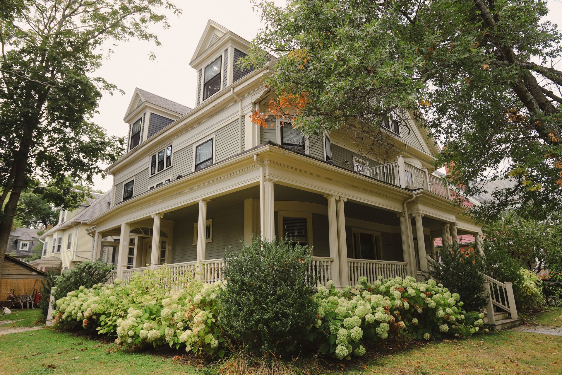Large, light green multi-story house with a wraparound porch and a yard filled with blooming hydrangea bushes.